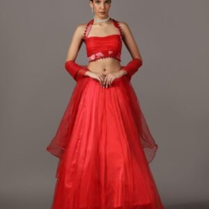 Royal Drift Lehenga